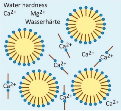 Erklärung der Wasserhärte mit Calcium und Magnesium Ionen